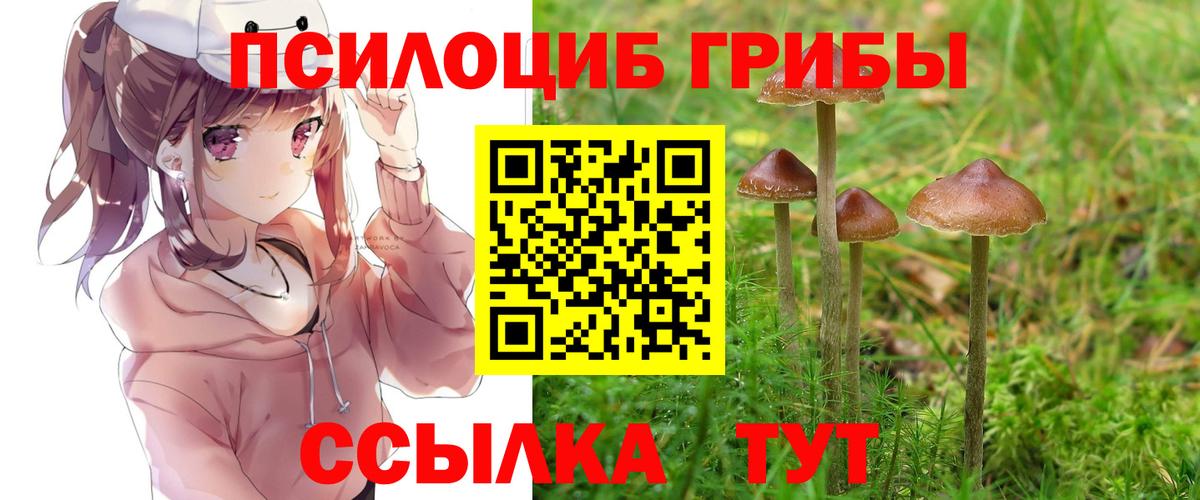 Асбест  Псилоцибиновые грибы Psilocybine cubensis  Вход с VPN  Галлюциногенные грибы Cubensis 